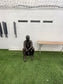 MARCELO BIELSA ARTIST PROOF ORIGINAL KING OF THE NORTH LUFC SCULPTURE STATUE SIGNED SAMPLE