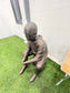 MARCELO BIELSA ARTIST PROOF ORIGINAL KING OF THE NORTH LUFC SCULPTURE STATUE SIGNED SAMPLE